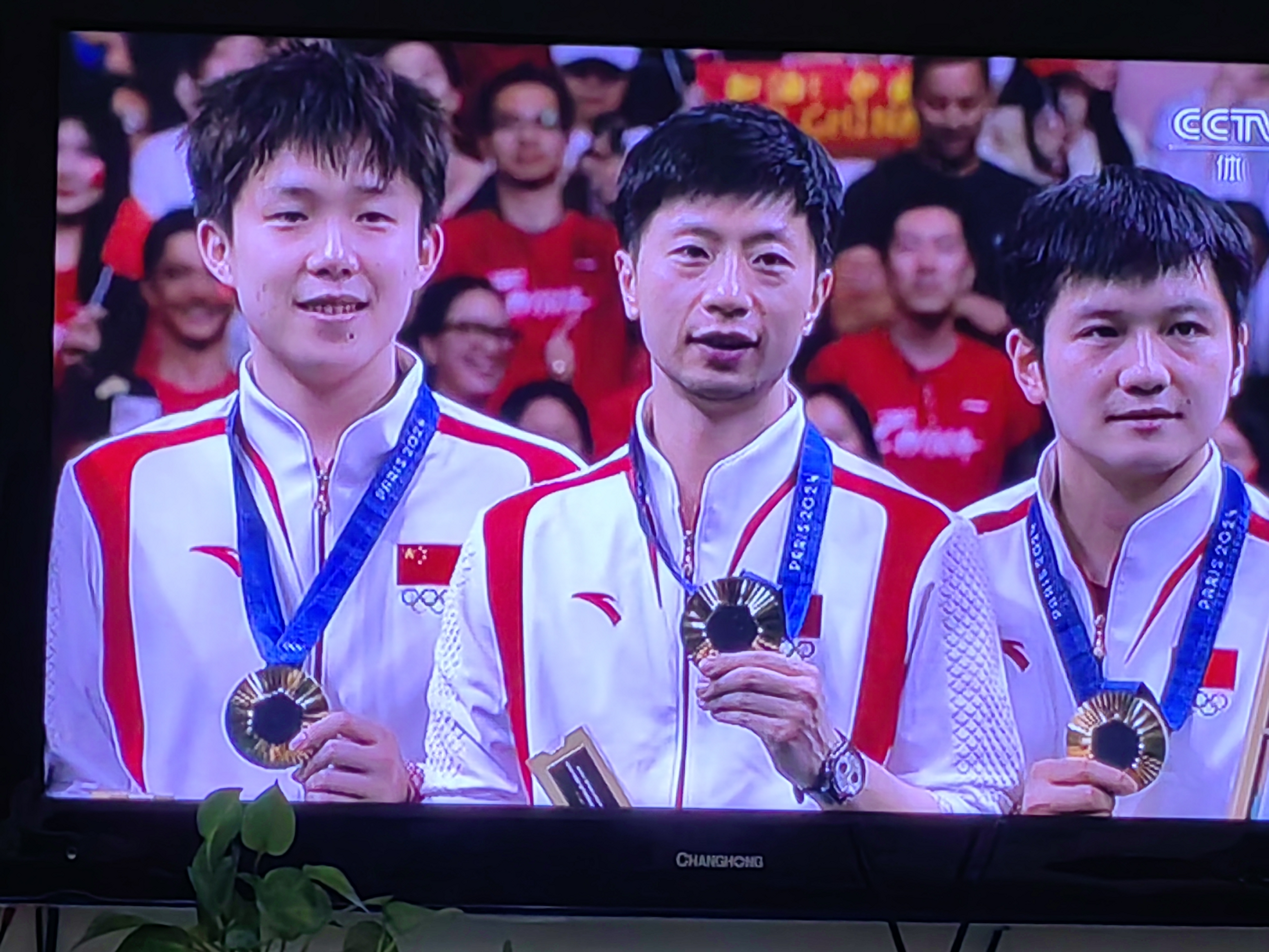 中国乒乓球队鏖战瑞典乒乓球队，波尔统治全场的简单介绍