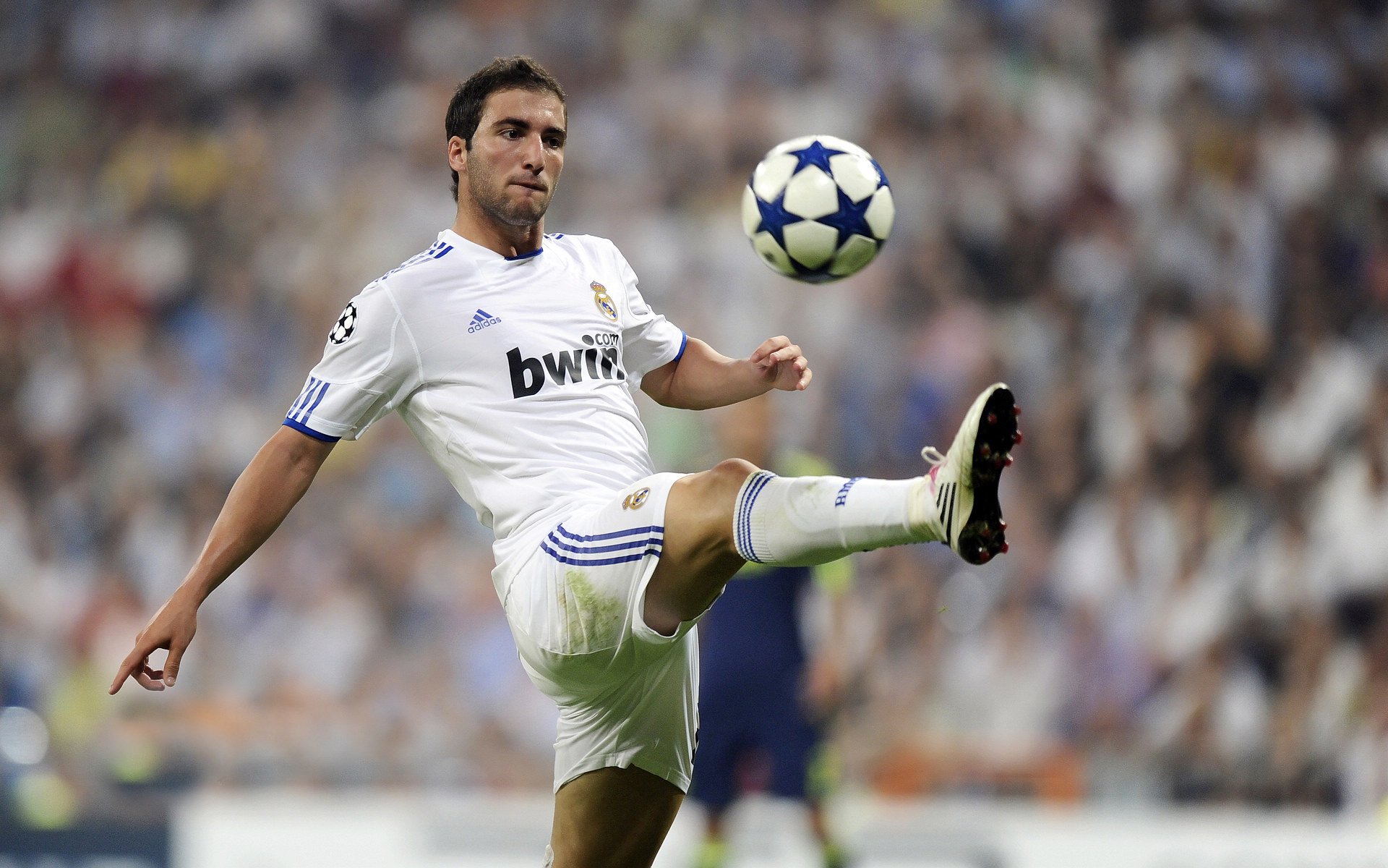 从安联球场到绿茵场，拜仁式突围与布鲁诺的2026世界杯接管时刻